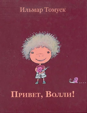 Ильмар Томуск Привет, Волли! обложка книги