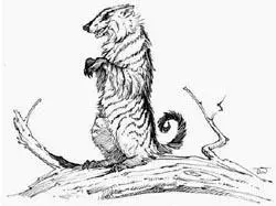 Chapter II The Watcher One When Nigel returned he was bearing a tray - фото 14