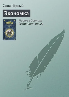 Саша Чёрный Экономка обложка книги