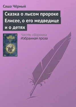 Саша Чёрный Сказка о лысом пророке Елисее, о его медведице и о детях обложка книги