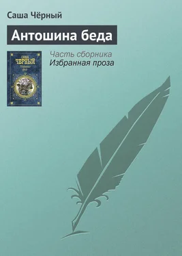 Саша Чёрный Антошина беда обложка книги