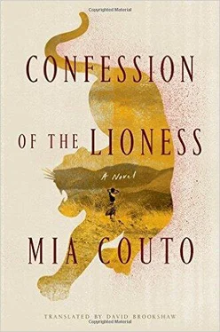Mia Couto Confession of the Lioness обложка книги
