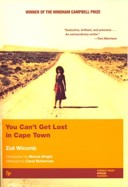 Zoë Wicomb You Can't Get Lost in Cape Town обложка книги