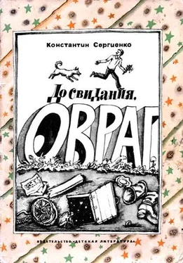 Константин Сергиенко До свидания, овраг обложка книги