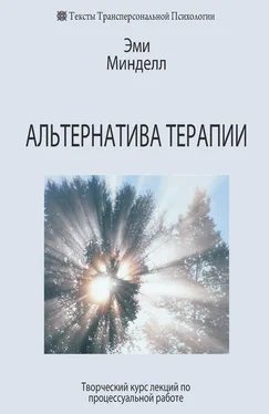 Эми Минделл Альтернатива терапии. Творческий курс лекций по процессуальной работе обложка книги