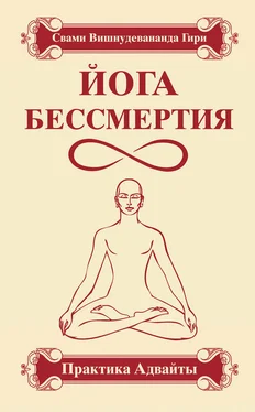 Свами Гири Йога бессмертия. Практика адвайты обложка книги