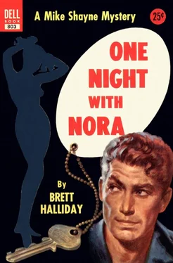 Brett Halliday One Night with Nora обложка книги