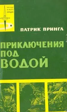 Патрик Прингл Приключения под водой