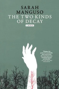 Sarah Manguso The Two Kinds of Decay обложка книги