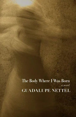 Guadalupe Nettel The Body Where I Was Born обложка книги