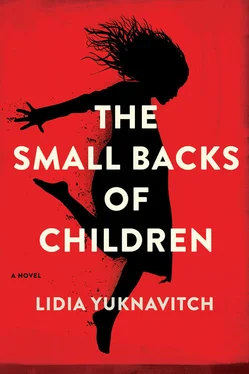 Lidia Yuknavitch The Small Backs of Children обложка книги