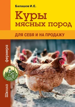 Иван Балашов Куры мясных пород обложка книги