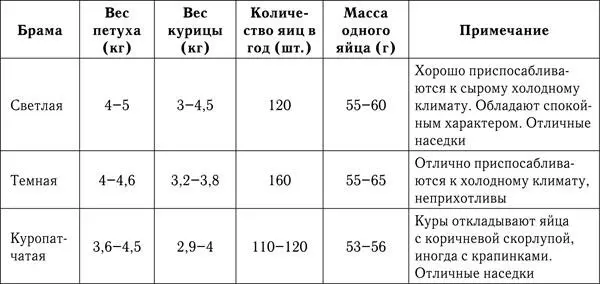 Особенности содержания Птицы породы брама отличаются очень хорошим аппетитом - фото 2