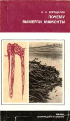 Николай Верещагин - Почему вымерли мамонты