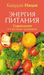 Кацудзо Ниши - Энергия питания. Сыроедение в Системе здоровья