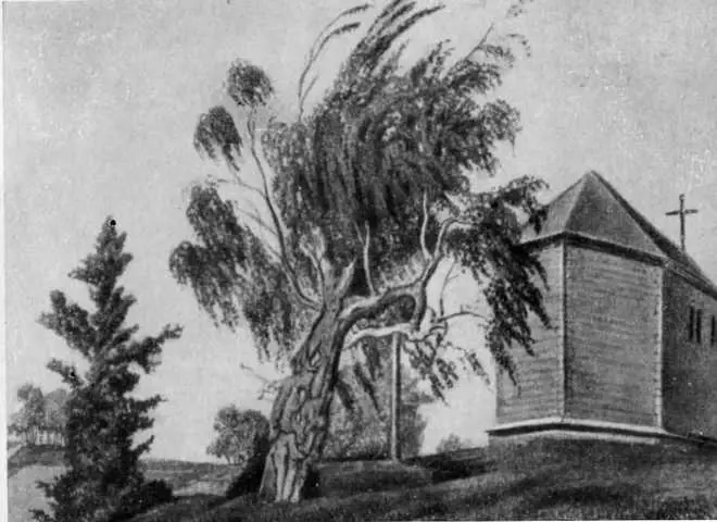 Часовня и береза Мицкевича в Тугановичах Акварель В Дмоховского 1861 - фото 13