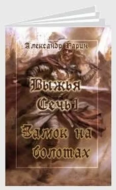 Александр Гарин Замок на болотах (СИ) обложка книги