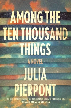 Julia Pierpont Among the Ten Thousand Things обложка книги
