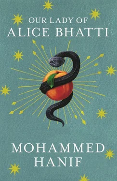 Mohammed Hanif Our Lady of Alice Bhatti обложка книги