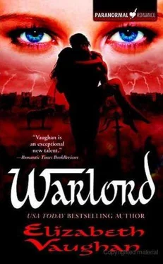 Elizabeth Vaughan Warlord обложка книги