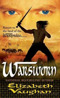 Elizabeth Vaughan Warsworn обложка книги