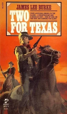 James Burke Two for Texas обложка книги