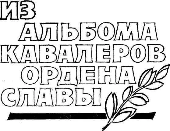 Солдатская доблесть - фото 16