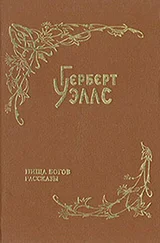 Герберт Уэллс - Человек из племени Порро