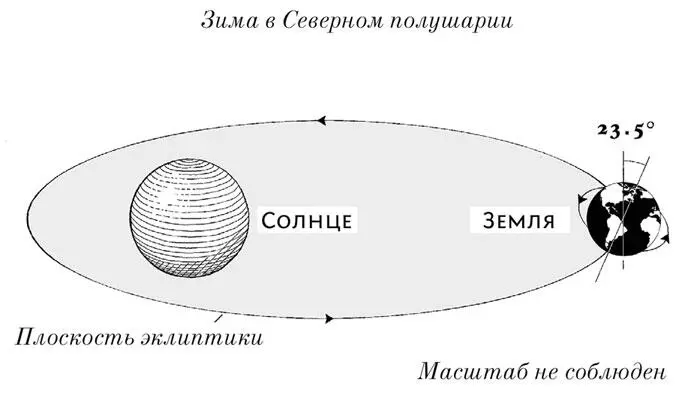 Подобным же образом у всех планет Солнечной системы общая история а - фото 49