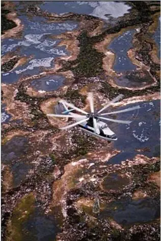 Тина Шапошникова Сургутские самоцветы Роман Семенец Ночной охотник Вадим - фото 98