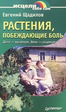 Евгений Щадилов Растения, побеждающие боль. Дача — вылечит, дача — исцелит обложка книги