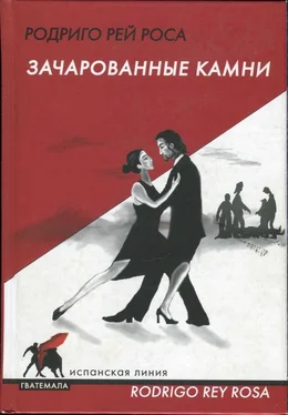 Родриго Рей Роса Зачарованные камни. Hasta cierto punto обложка книги