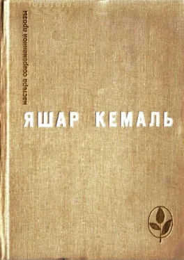 Яшар Кемаль Разбойник обложка книги