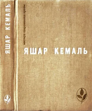 Яшар Кемаль Легенда Горы. Если убить змею. Разбойник. Рассказы. Очерки обложка книги