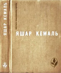 Яшар Кемаль - Легенда Горы. Если убить змею. Разбойник. Рассказы. Очерки