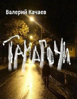 Валерий Качаев Тамагочи обложка книги