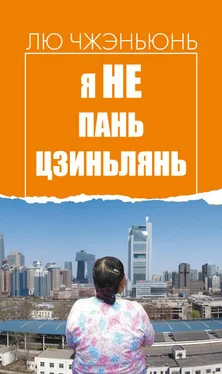 Лю Чжэньюнь Я не Пань Цзиньлянь