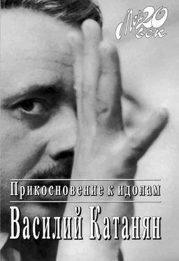 Василий Катанян Прикосновение к идолам обложка книги