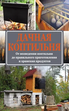 Антон Козлов Дачная коптильня. От возведения коптильни до правильного приготовления и хранения продуктов обложка книги