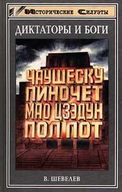 Владимир Шевелев Пирамида из двух миллионов черепов обложка книги