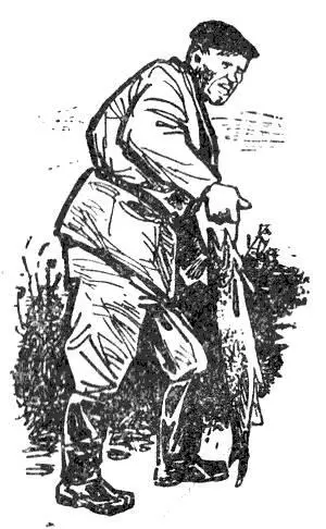 Съестьто съел бы щуку охотно Но почистить не сумею Повар из меня плохой - фото 10