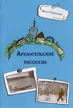 Виктор Пшеничный Архангельские рассказы обложка книги