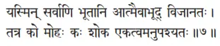 yasmin sarvāṇi bhūtāni ātmaivābhūd vijānataḥ ǀ tatra ko mohaḥ kaḥ śoka - фото 8