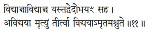 vidyāñcāvidyāñca yastadvedobhayaḿ saha ǀ avidyayā mṛtyuṁ tīrtvā - фото 12