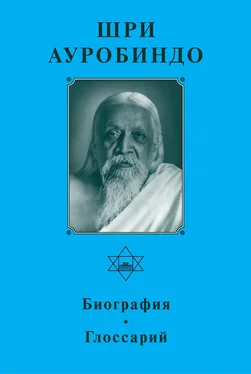 А. Панкова Шри Ауробиндо. Биография. Глоссарий обложка книги