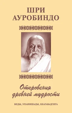 Шри Ауробиндо Шри Аурбиндо. Откровения древней мудрости. Веды, Упанишады, Бхагавадгита обложка книги