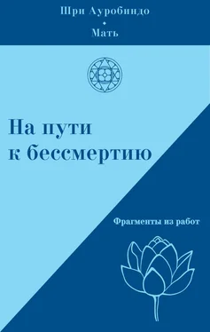 Мать Array На пути к бессмертию. Фрагменты из работ обложка книги