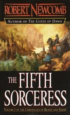 Robert Newcomb The Fifth Sorceress обложка книги