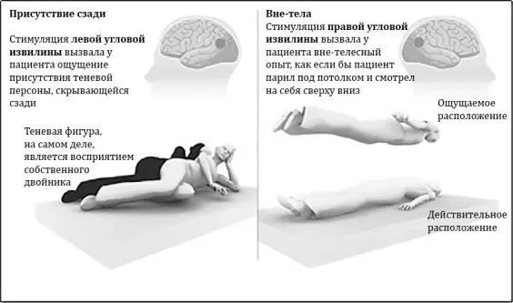 Рисунок 9 Последнее исследование предпринятое Dr Olaf Blanke даёт новое - фото 9