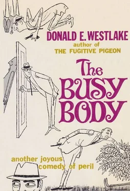 Donald Westlake The Busy Body обложка книги